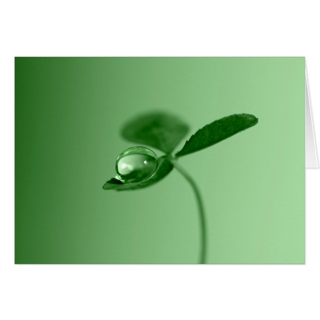 朝の結露 (正面横)