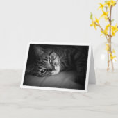 朝の航跡 カード (黄色い花)