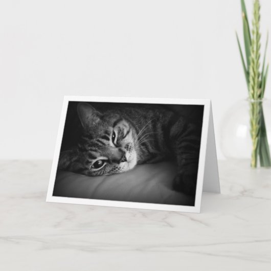 朝の航跡 カード (正面)