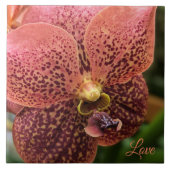 朝の蘭 タイル (正面)