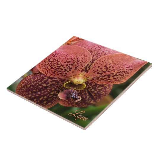 朝の蘭 タイル (側面)