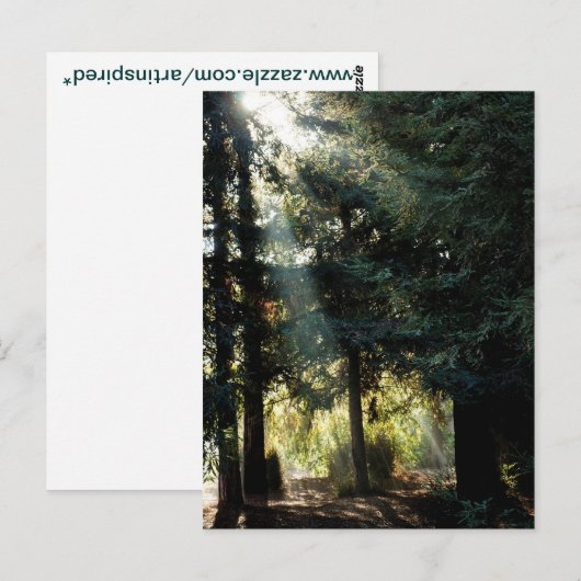 朝の赤木 ポストカード (正面/裏面)