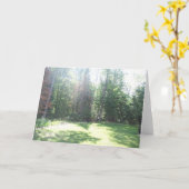 朝の軽いカード カード (黄色い花)