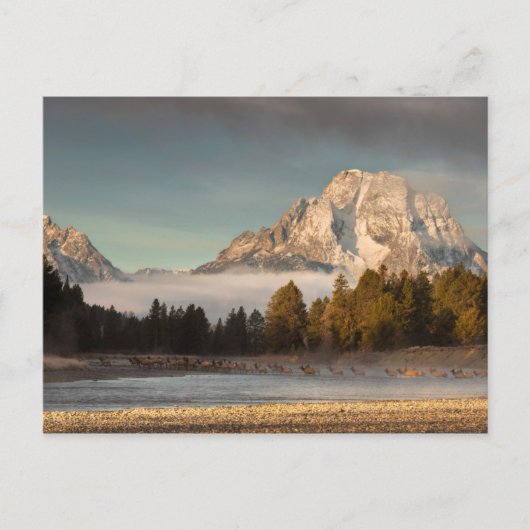 朝の通勤 ポストカード (正面)