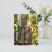 朝の陽光の中で成長し過ぎた庭 ポストカード (スタンド正面)