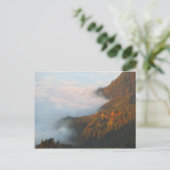 朝の雲ピエニイ ポストカード (スタンド正面)