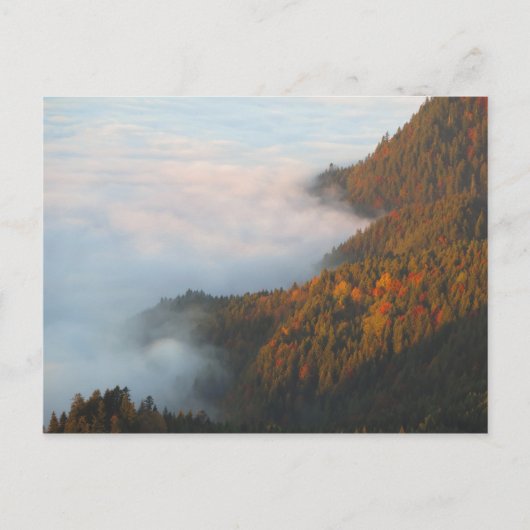 朝の雲ピエニイ ポストカード (正面)