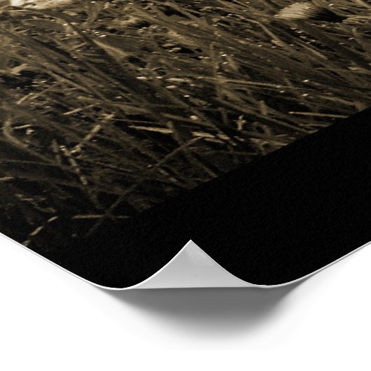 朝の霧のタンポポ ポスター (角)