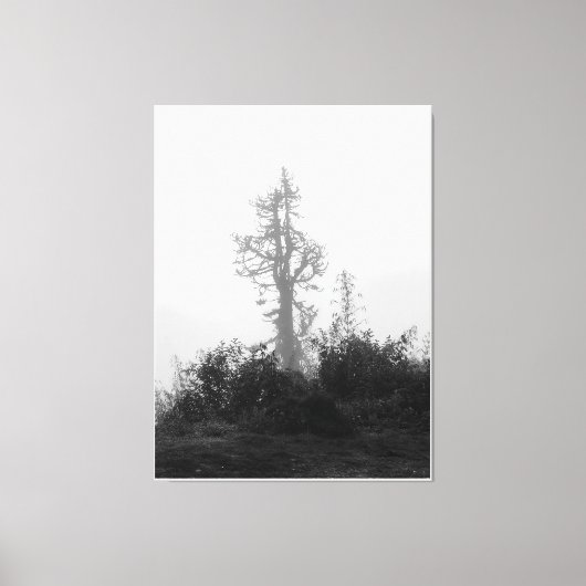 朝の霧の中の孤独な木 キャンバスプリント (正面)