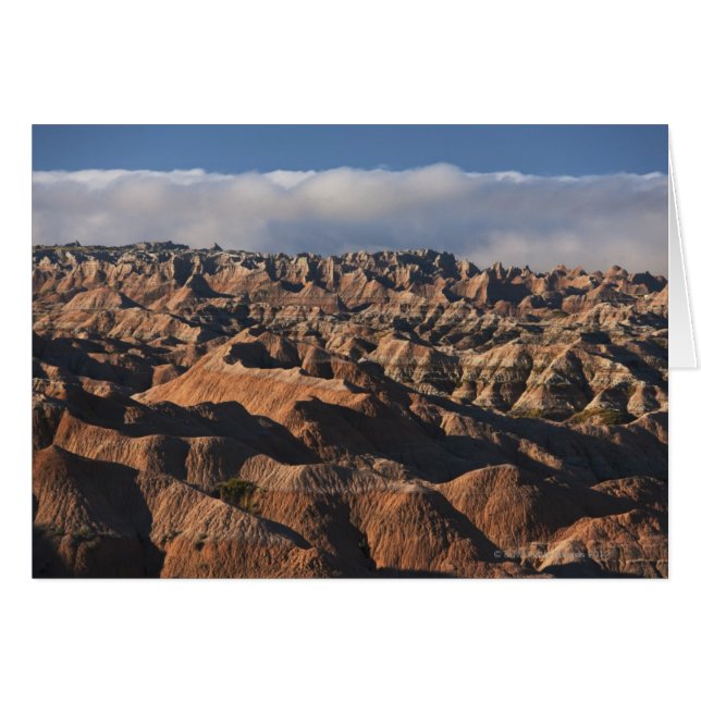 朝の霧の山 (正面横)