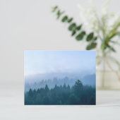 朝の霧は山の森の風景を包み込む ポストカード (スタンド正面)