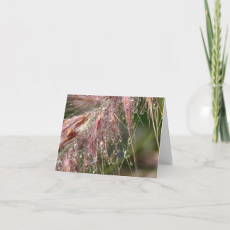 朝の露のメッセージカード カード