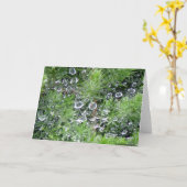 朝の露 カード (黄色い花)