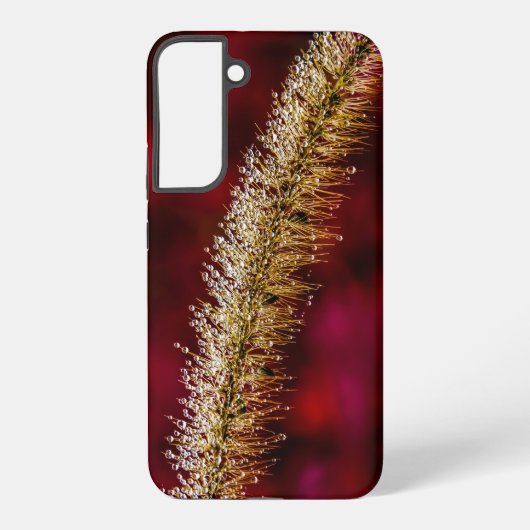 朝の露 SAMSUNG GALAXYケース (裏面)
