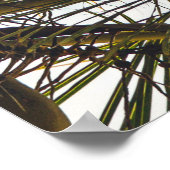 朝の青い空の下で葉ココナッツの木の ポスター (角)