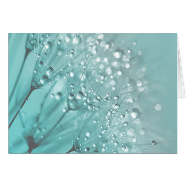 朝の鮮度 (正面横)