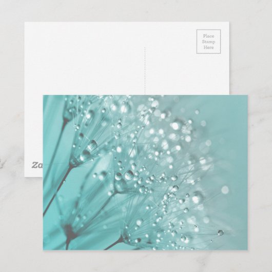 朝の鮮度 ポストカード (正面/裏面)