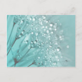 朝の鮮度 ポストカード (正面)