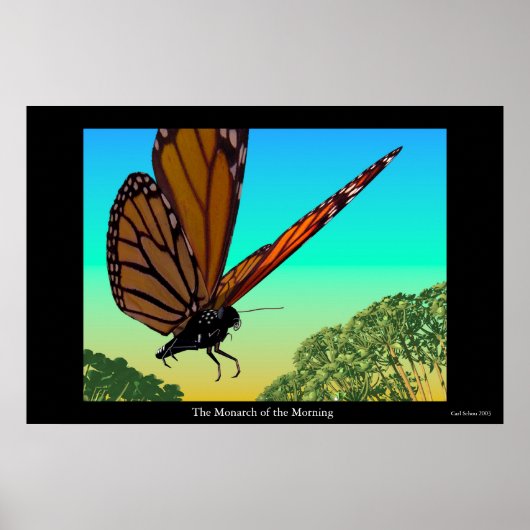 朝の（昆虫）オオカバマダラ、モナーク ポスター (正面)
