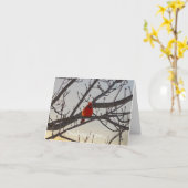 朝の（鳥）ショウジョウコウカンチョウ考えるは カード (黄色い花)