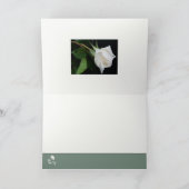 朝への弓 カード (内部)