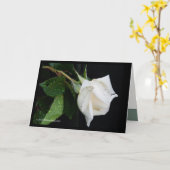 朝への弓 カード (黄色い花)