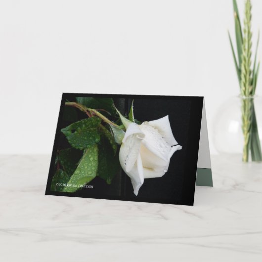 朝への弓 カード (正面)