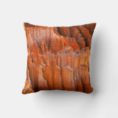 朝ライトの石のHoodoos クッション (裏面)