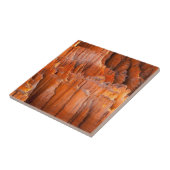 朝ライトの石のHoodoos タイル (側面)