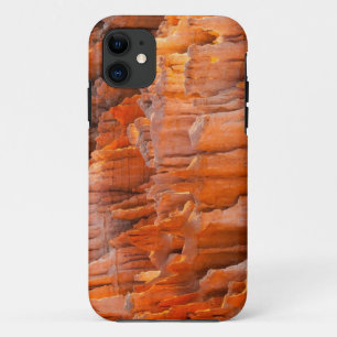 朝ライトの石のHoodoos iPhone 11 ケース