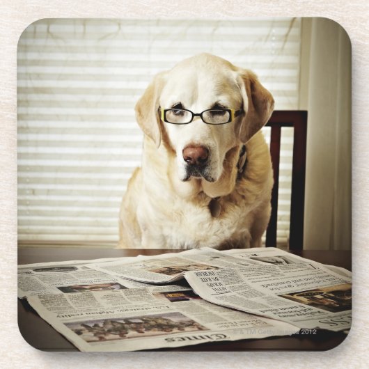 朝ルーチンの犬 コースター (正面)
