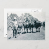 朝仕事 ポストカード (正面/裏面)