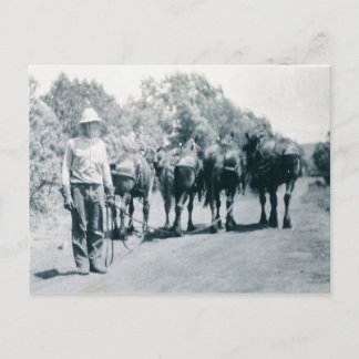 朝仕事 ポストカード