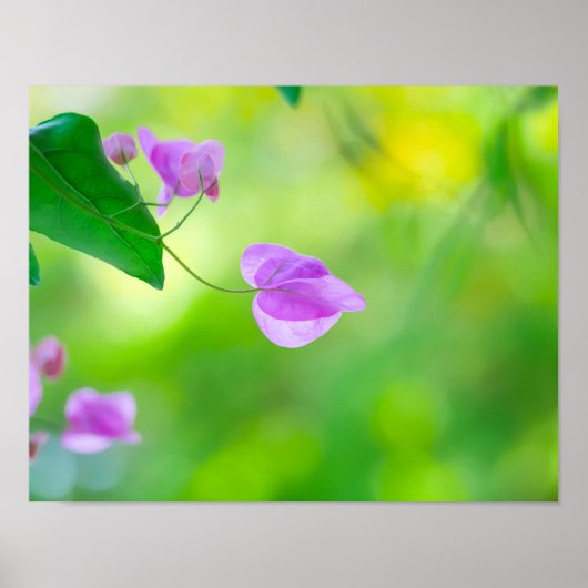 朝光の囁き声 ポスター (正面)