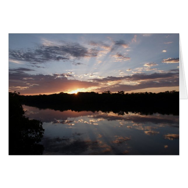 朝光線 (正面横)