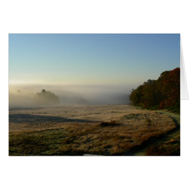 朝分野 (正面横)