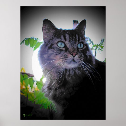 朝日が出た ポスター (正面)