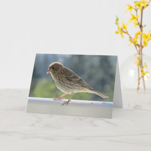 朝日にフィンチ。 カード (黄色い花)
