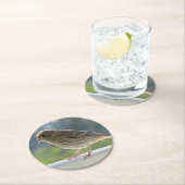 朝日にフィンチ。 ラウンドペーパーコースター (インサイチュ)