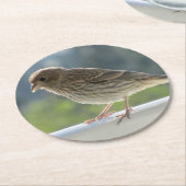 朝日にフィンチ。 ラウンドペーパーコースター (アングル)
