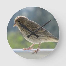 朝日にフィンチ。 ラウンド壁時計