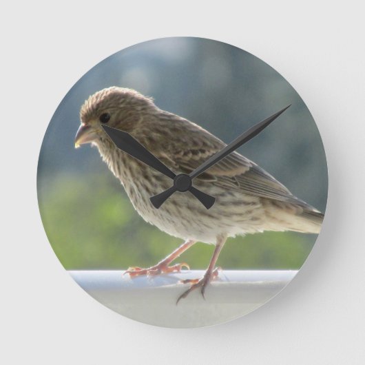朝日にフィンチ。 ラウンド壁時計 (正面)