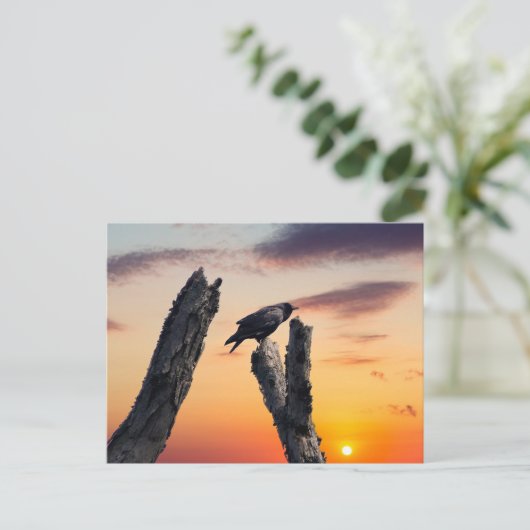 朝日に時を告げる ポストカード (スタンド正面)