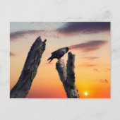 朝日に時を告げる ポストカード (正面)