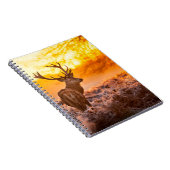 朝日に赤い鹿。鹿、動物、野生動物、ナトゥ ノートブック (右側)