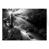 朝日の中の犬 (正面横)