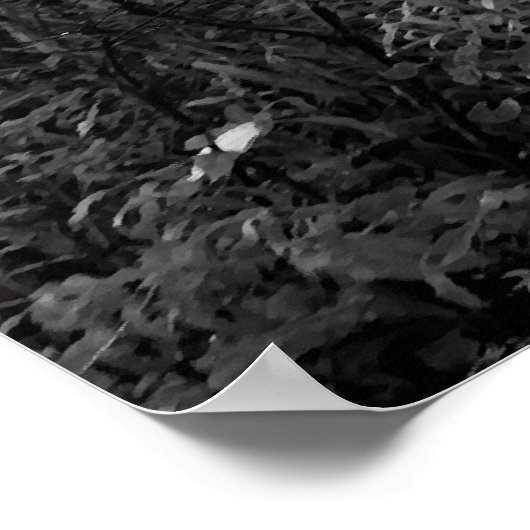 朝日の中の犬 ポスター (角)