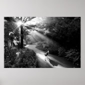 朝日の中の犬 ポスター (正面)