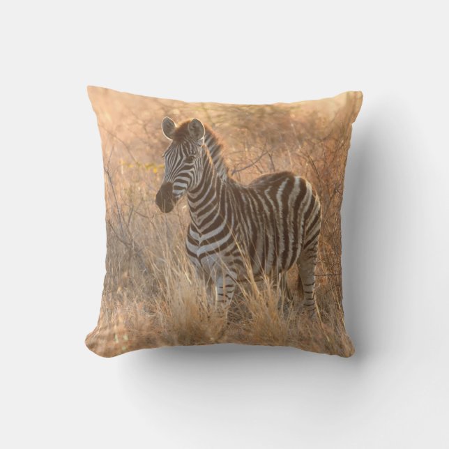 朝日の出の写真のゼブラ アウトドアクッション (正面)