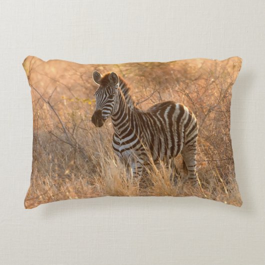 朝日の出の写真のゼブラ アクセントクッション (正面)